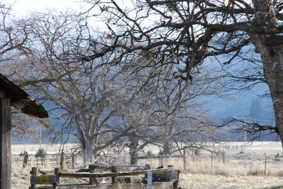 DSC_0032 (Large).JPG